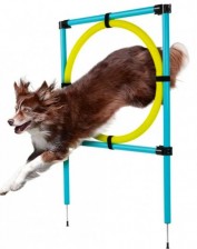 Carinura Agility kruh pro psy Ø 65 cm